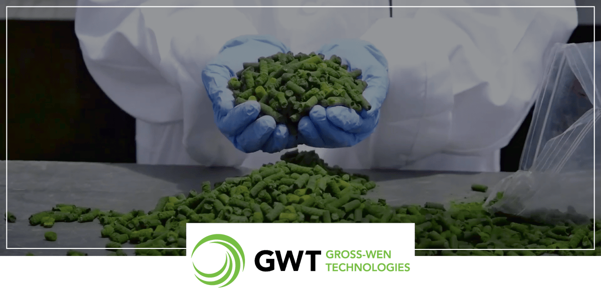 Newsletter-GWT-Graphic