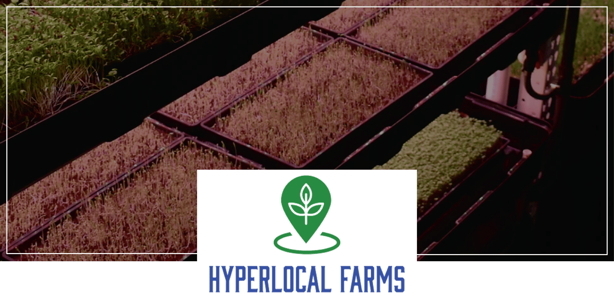 Newsletter-HyperLocal-Graphic
