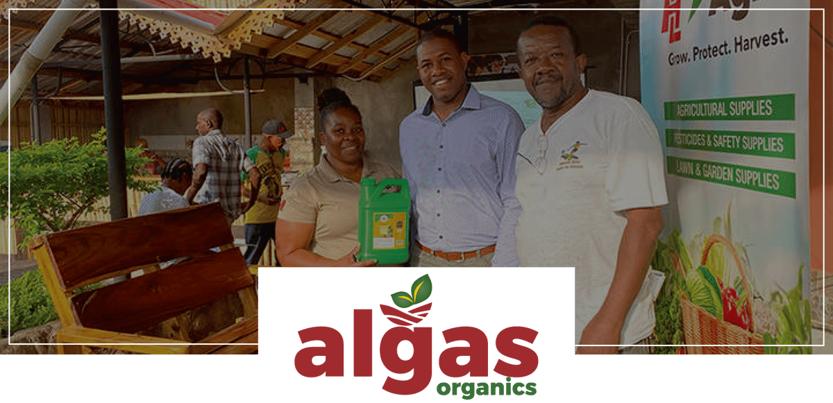 Newsletter-algas-Graphic